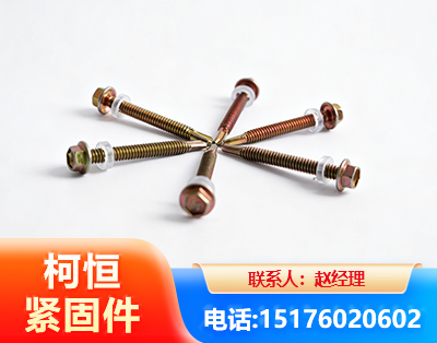濮阳六角钻尾丝